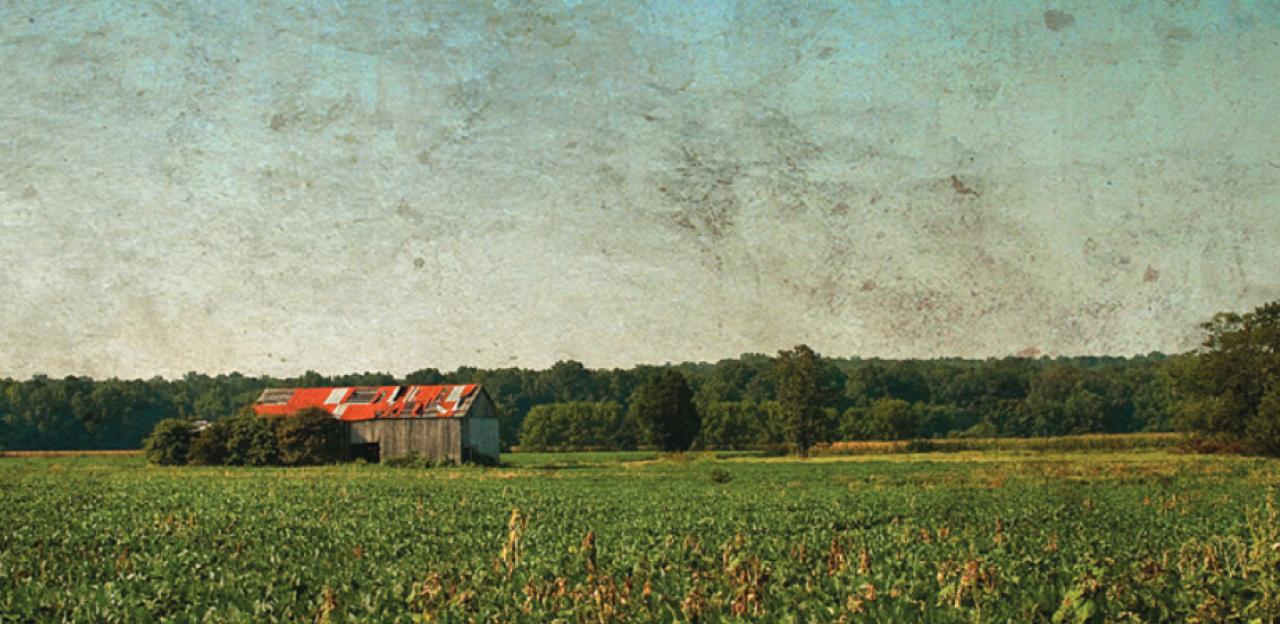 Image of the Slaughter Pen Farm